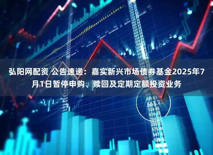 弘阳网配资 公告速递：嘉实新兴市场债券基金2025年7月1日暂停申购、赎回及定期定额投资业务